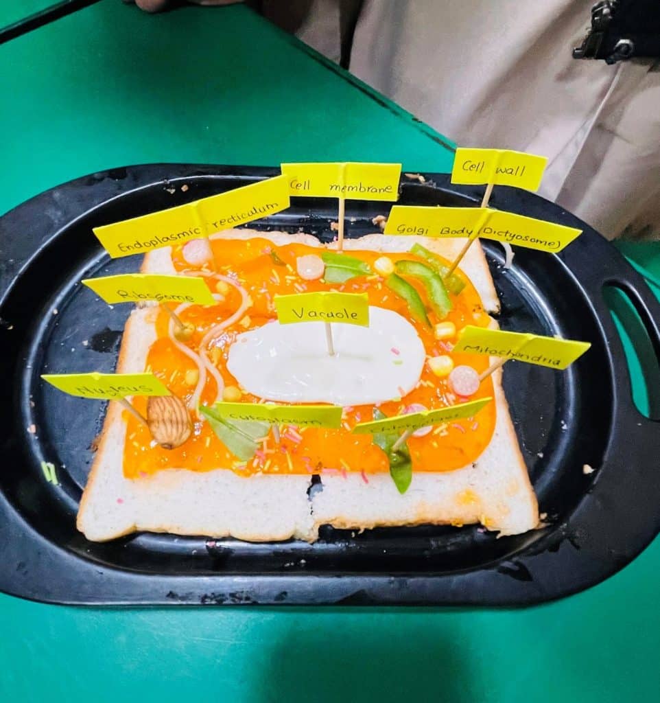 The Edible Cell